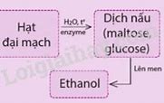 Cellulose Tan Trong Nước Schweizer Có Màu Gì