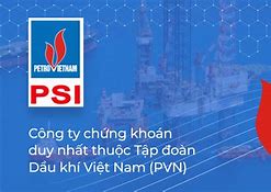 Công Ty Tccp Dầu Khí Việt Nam