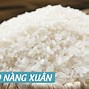 Giá Gạo Rẻ Nhất Hiện Nay