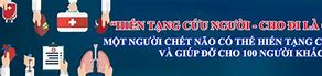 Kiểm Dịch Y Tế Quốc Tế Quảng Ninh