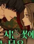 Nước Mắt Trên Đóa Hoa Tàn Chap 21