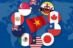 Quan Hệ Việt Nam Với Các Nước Asean Hiện Nay